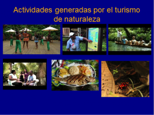 Figure 6. Activities generated by local nature tourism